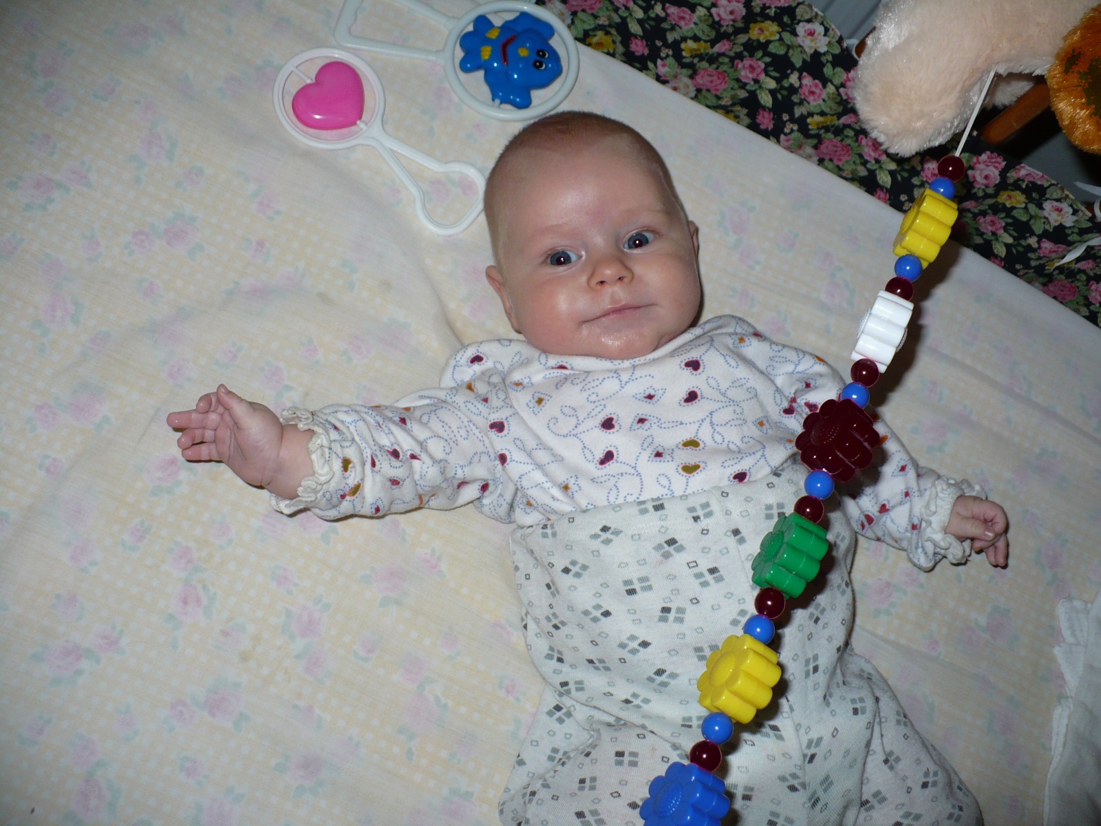 P1020756a.jpg