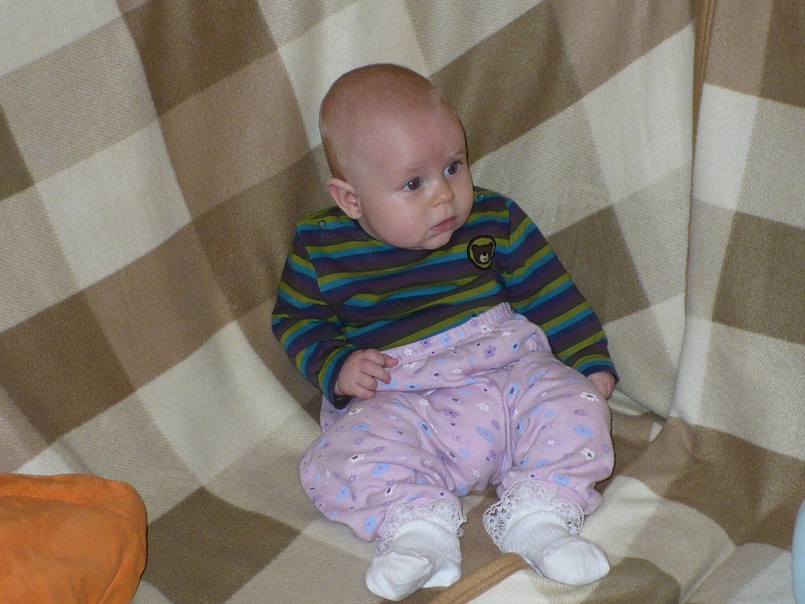 P1020908.JPG